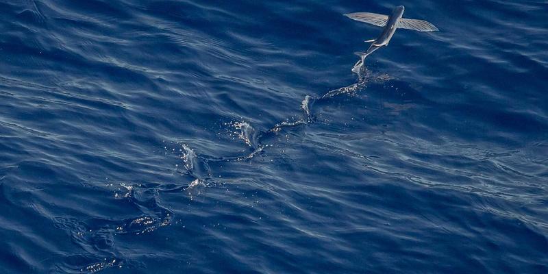 不止于报价：工业品采购中如何通过现场审核（Site Audit）锁定真正可靠的供应商