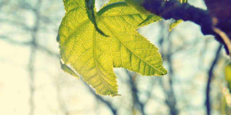 从成本中心到价值引擎：工业设备维护维修的战略采购与供应商关系重塑