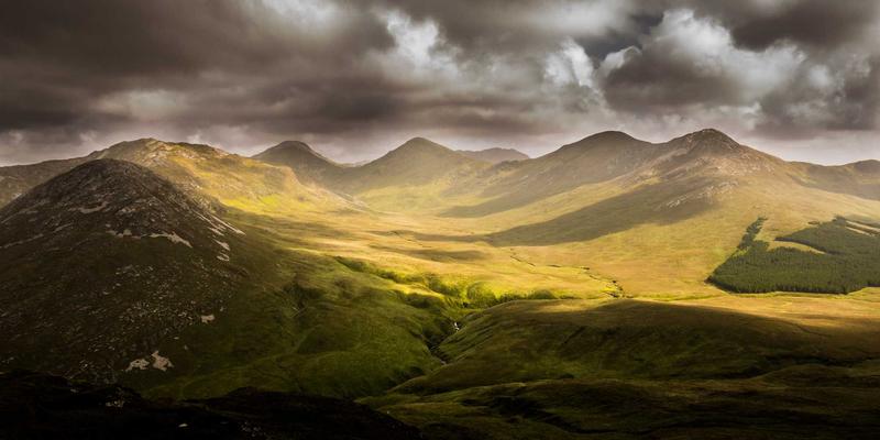 降本增效新引擎：数字化采购平台如何重塑工业品采购与MRO服务